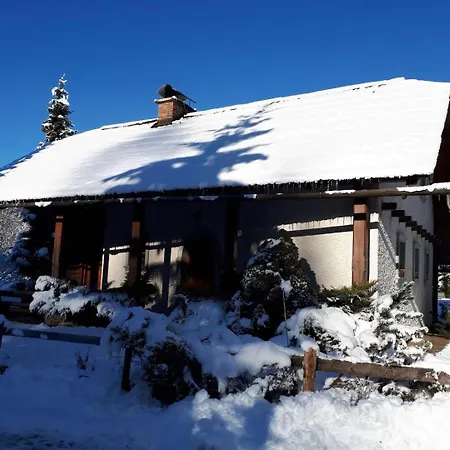 Zala * Kranjska Gora