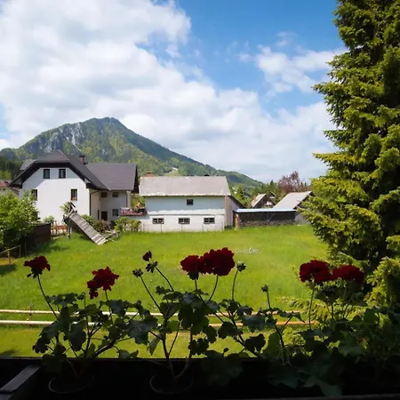 Zala * Kranjska Gora