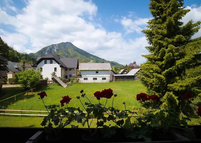 Zala * Kranjska Gora